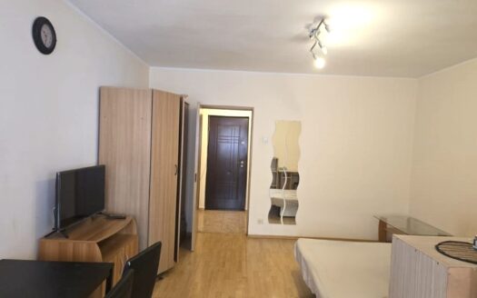 GARSONIERA la Metrou DRISTOR