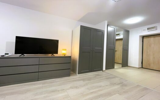 *Hils PALLADY *Garsoniera *2 min de METROU